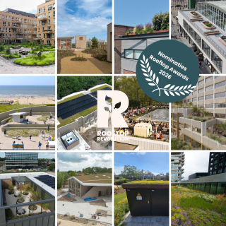 Alle nominaties collage 2026