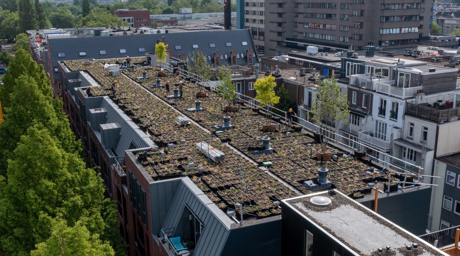 Camperstraat Amsterdam