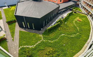 Interview Altera voor Roofs magazine