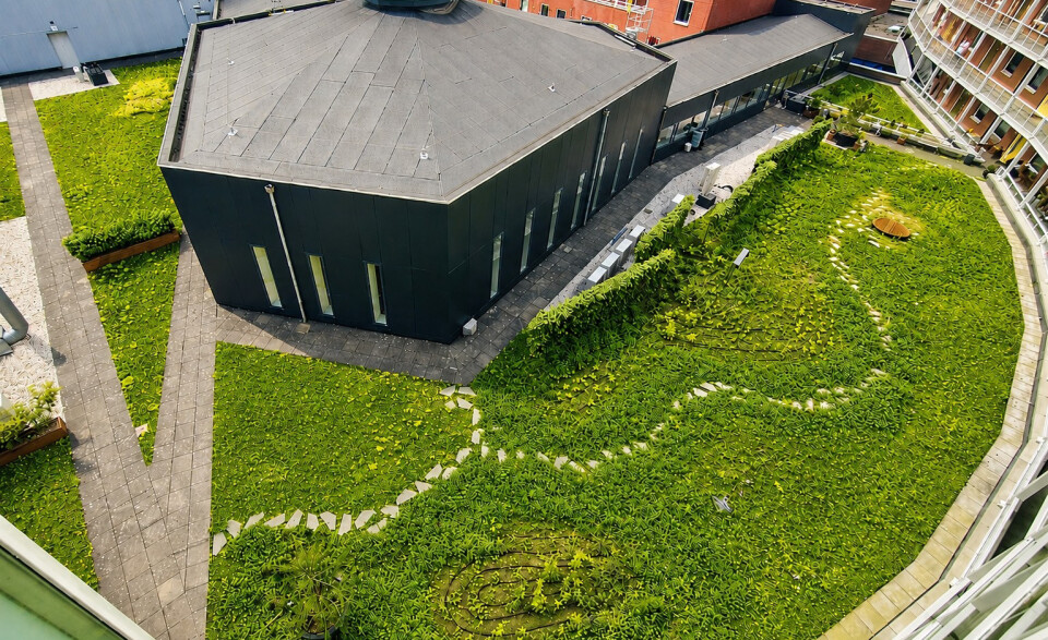 Interview Altera voor Roofs magazine