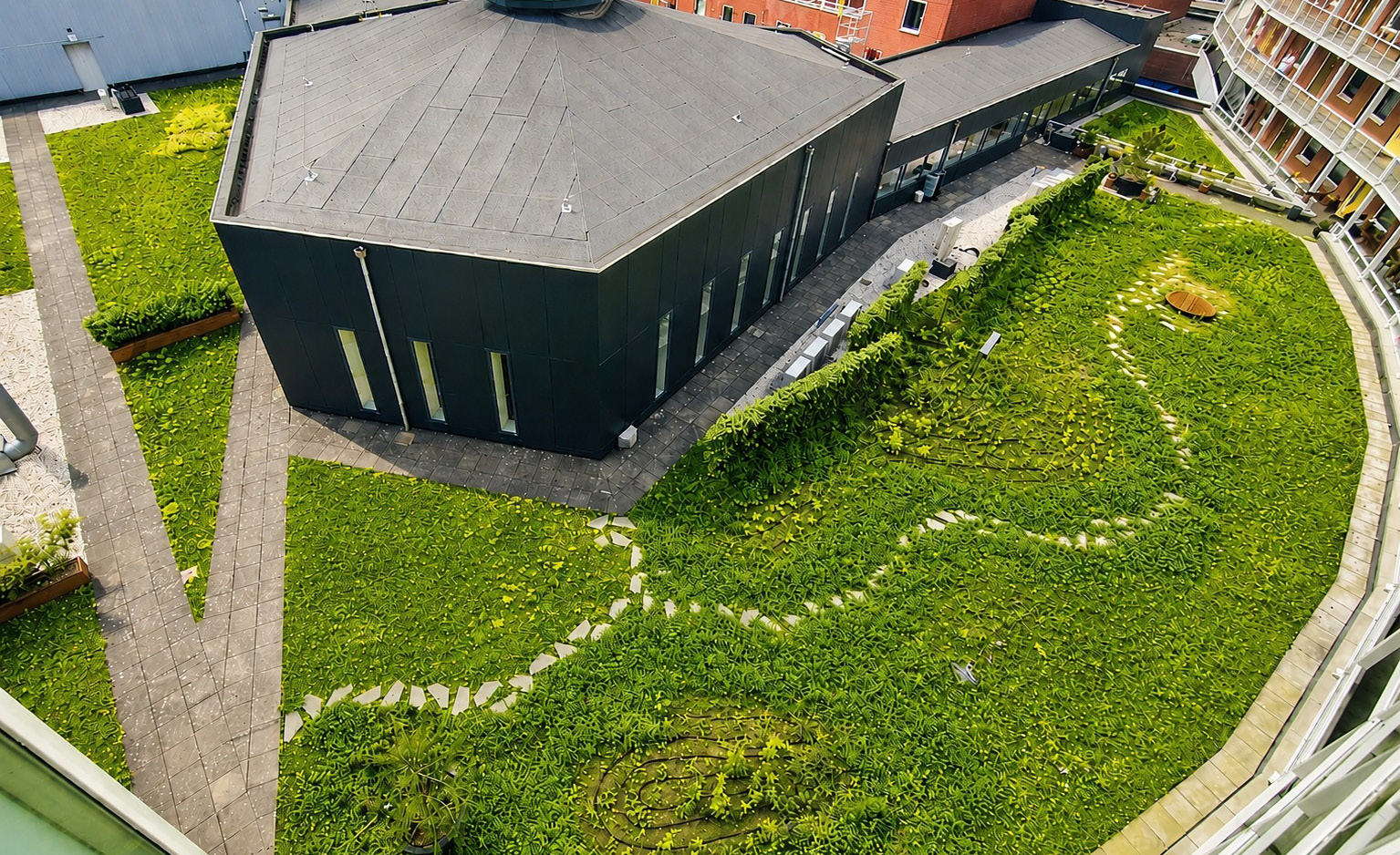 Interview Altera voor Roofs magazine