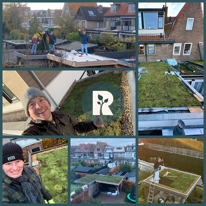 Maak van je dak een spons Vang je regendruppels
