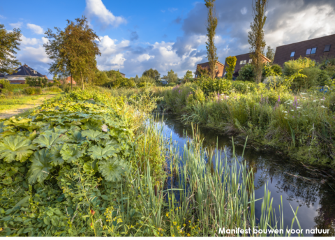 Manifest Bouwen voor natuur