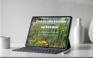 Mock up onderzoek onbenutte daken