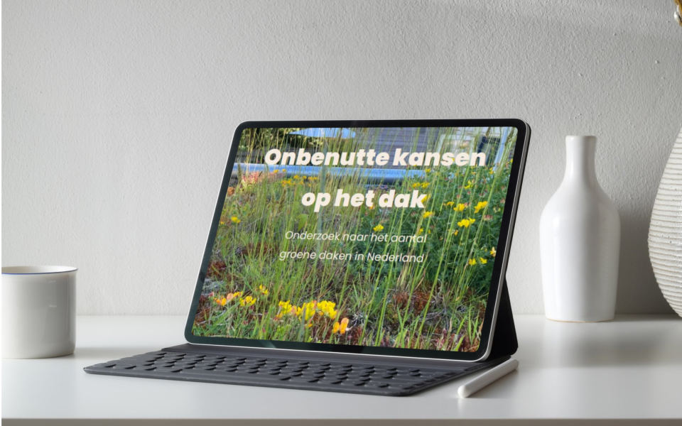 Mock up onderzoek onbenutte daken