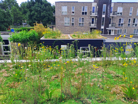 Wijkcampagne voorbeeld schuurtjes (3)