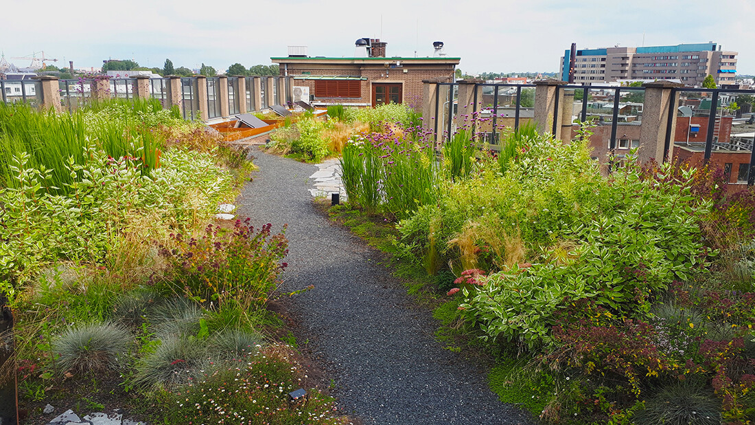 Schooldak (Hogeschool van Amsterdam)