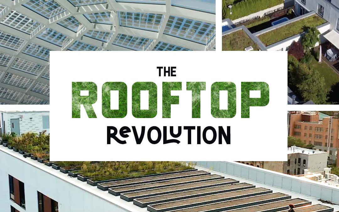 Waterbear Rooftop Revolution documentaire