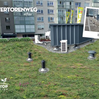 Dak uitgelicht: Watertorenweg in Rotterdam