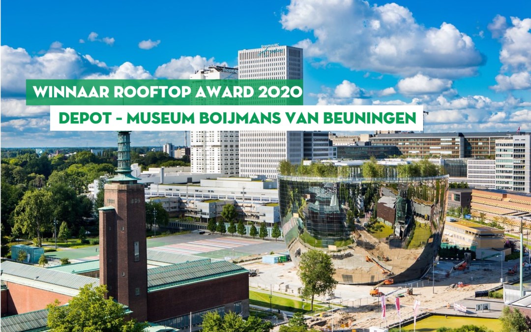 Rooftop Award 2021/2022