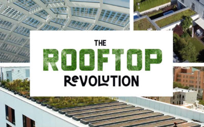 Première “The Rooftop Revolution”